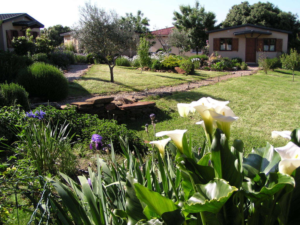La Cerca Del Alcornoque Guest House Casas de Belvis Exterior foto