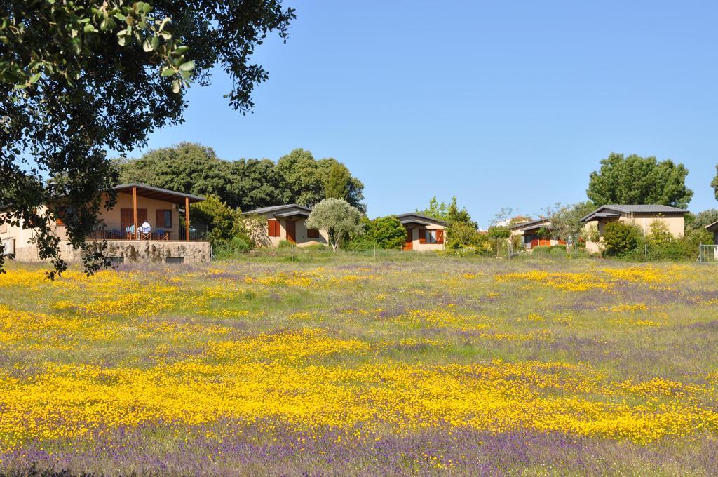 La Cerca Del Alcornoque Guest House Casas de Belvis Exterior foto
