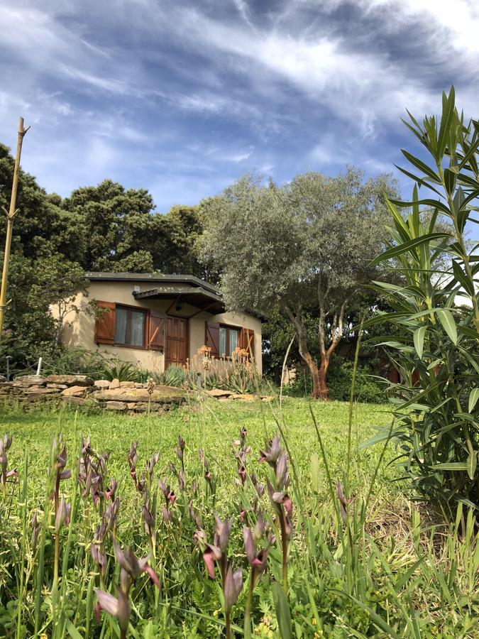 La Cerca Del Alcornoque Guest House Casas de Belvis Exterior foto